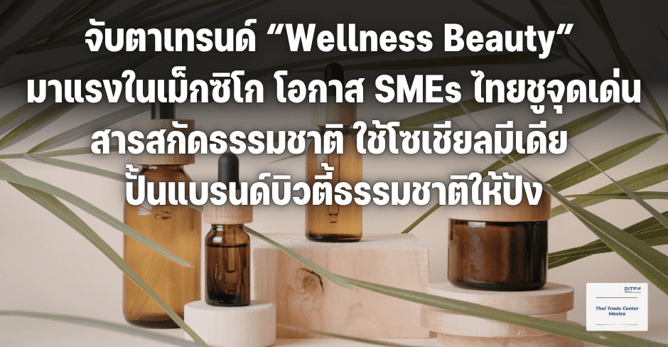 สกินแคร์ไทยในเม็กซิโก ส่วนผสมธรรมชาติและเอกสารส่งออกเครื่องสำอาง